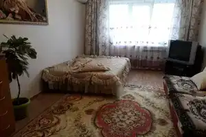 Уютная квартира у золотого моста, Владивосток
