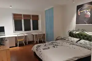 Стильный просторный апартамент