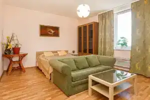 Гостевые квартиры "Алеся", Однокомнатная с одной спальней, Екатеринбург
