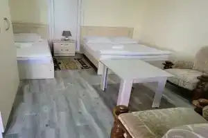 Трёхместный номер с видом на сад, Боржоми