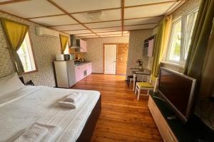 Студия с видом на горы