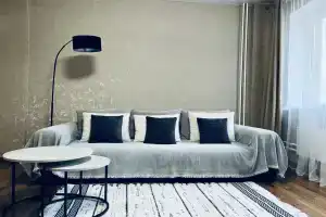 Квартира у Галереи Чижова, Воронеж