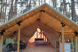 Красные Кусты, Разумное