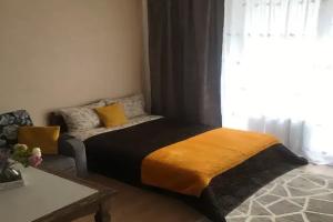 Уютная студия в парке имени Ленина, центр