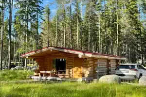 Дом совенок, Медвежьегорск