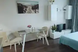 Студия Тихая гавань, Калининград