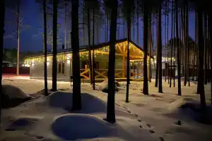 Домик в лесу Karjala house