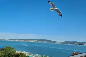 Большая студия с шикарным видом на бухту, Геленджик