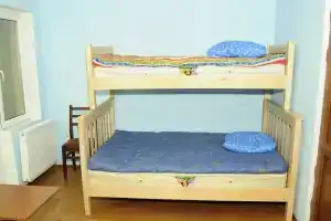 Семейный номер стандарт с видом на горы, Боржоми