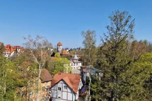 Уютная 2к-квартира, Светлогорск