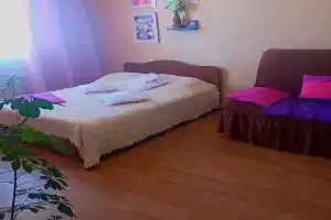 Комфортная квартира для наших гостей, Новосибирск
