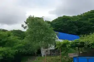 Большой уютный дом с камином на опушке леса, Дедеркой