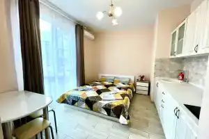 Уютная студия рядом с границей Абхазии, Весёлое