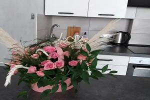 Уютная студия для отдыха, Калининград