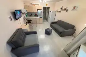 Уютная студия с видом на лес, Ломоносов