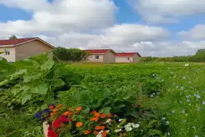 Глэмпинг «Карловка» в Чудовском районе
