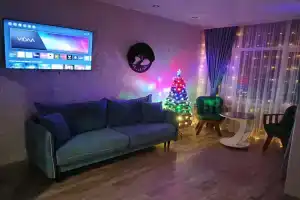 Апартамент с видом на лес, Солотча