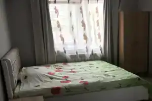 Студия, Сочи