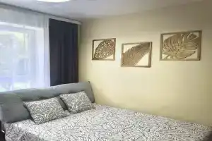 Студия в центре