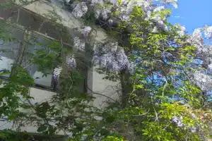 Гостевой дом «Анна», Курортное