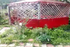 Отдых у Наташи, Сатка