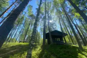 Домик с чаном в лесу