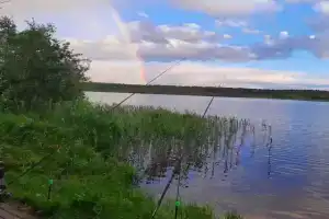 Домик у озера, Мичуринское