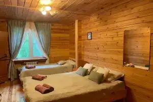 Просторная квартира в курортной зоне с лечебными источниками