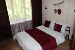 Квартира на побережье, Большая Ижора