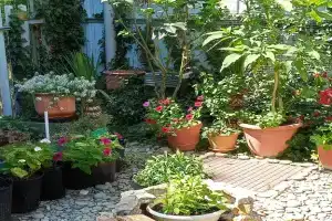 Дом у моря в курортной зоне