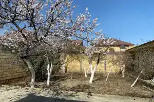 Уютный домик в центре города