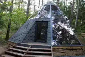 Панорамный дом в сосновом лесу glassy 3