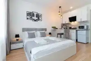 Стильная студия в центре Правобережья