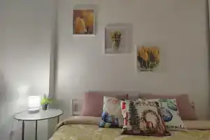 Видовая квартира у Нового рынка, Ступино