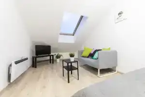 South park, Калининград