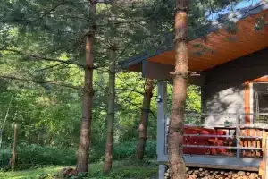 Частный дом «Дом в соснах»