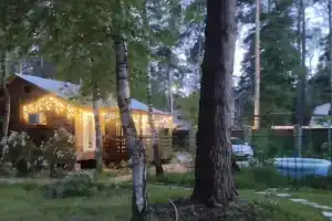 Дом в сосновом бору с гортензиями
