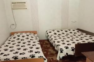 Трёхместный номер эконом, Бетта