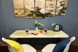 Просторная квартира в центре