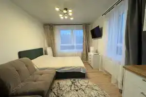 Уютная студия в поселке Песочном