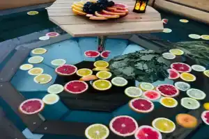 Дом, чан, баня, Нов.Ропша