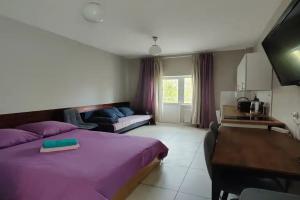 Семейный номер с кухней, Владимир