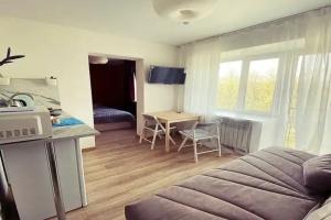 Уютная квартира-студия 1 с дизайнерским ремонтом, Владимир