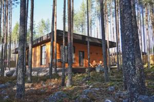 3-комнатный Дом, Медвежьегорск