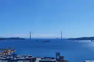 Краб, Владивосток