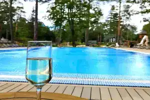 Оазис у голубого бассейна, Зеленогорск