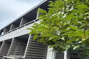 Делюкс комната с удобствами в лучшем районе Сириуса
