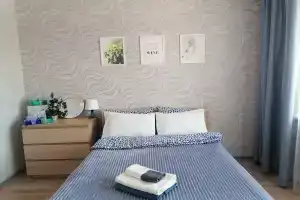 Уютная однокомнатная квартира в Ивушках