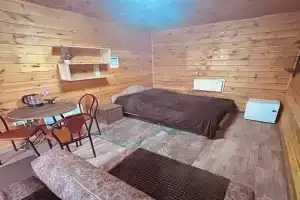 Уютный номер с двухместной кроватью и кресло-кроватью №3