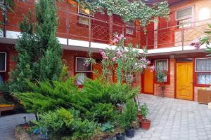 Эконом номер, Анапа